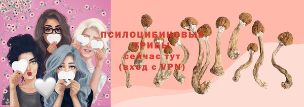 мдпв Осинники