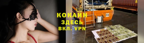 мдпв Осинники