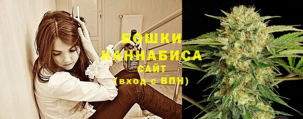 мдпв Осинники