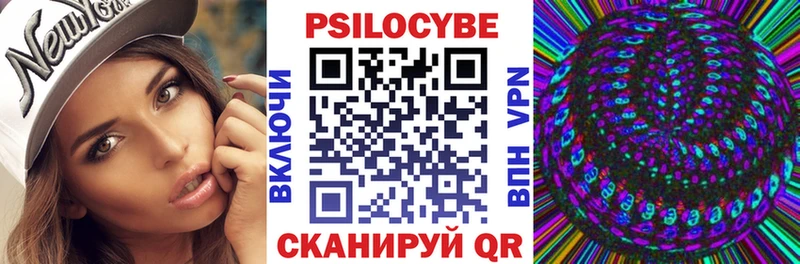 где купить наркотик  Калининец  Псилоцибиновые грибы GOLDEN TEACHER 