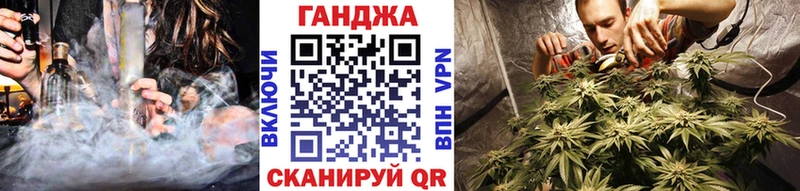 Конопля гибрид  Калининец 